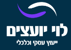 ירון לוי, בניית תוכנית עסקית